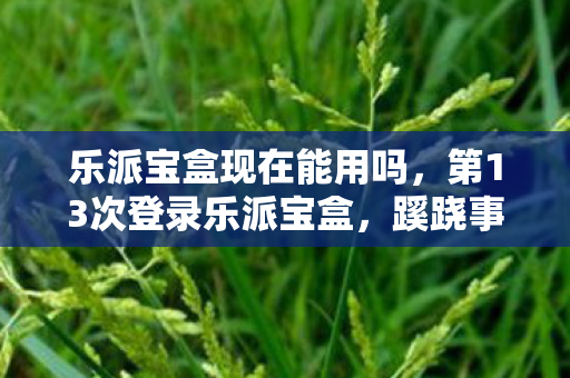 乐派宝盒现在能用吗，第13次登录乐派宝盒，蹊跷事件频发，后背发凉真相渐显