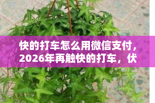 快的打车怎么用微信支付，2026年再触快的打车，伏笔揭开旧情，回忆涌来鼻子一酸