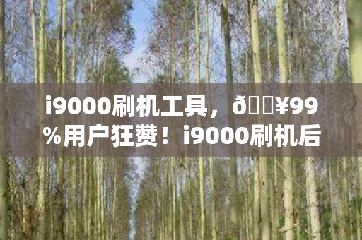 i9000刷机工具,🔥99%用户狂赞!i9000刷机后流畅度飙升300%,这体验绝了! i9000刷机工具,🔥99%用户狂赞!i9000刷机后流畅度飙升300%,这体验绝了!