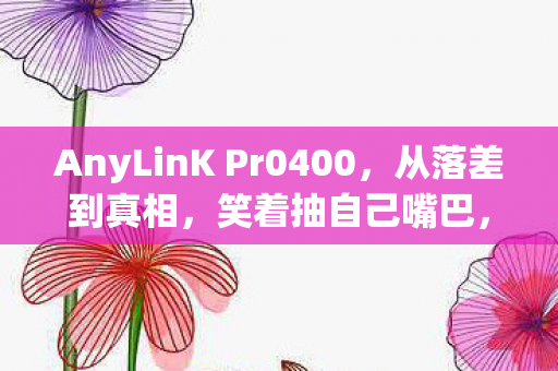 AnyLinK Pr0400，从落差到真相，笑着抽自己嘴巴，笑着笑着竟哭了——anylink之困