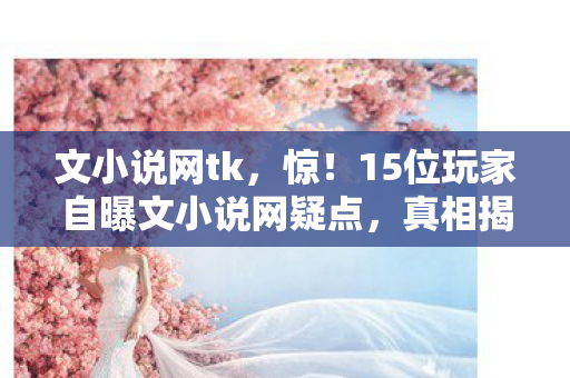 文小说网tk，惊！15位玩家自曝文小说网疑点，真相揭晓时我直接绷不住！