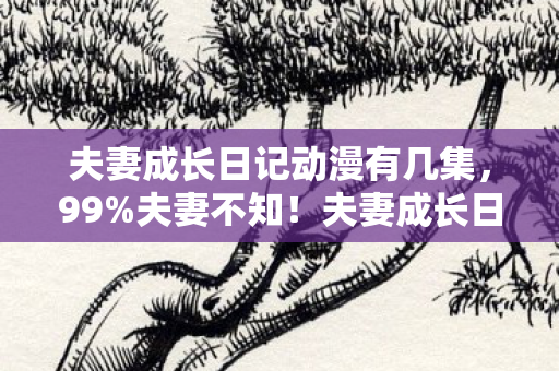 夫妻成长日记动漫有几集，99%夫妻不知！夫妻成长日记暗藏3大逆天玩法，看完直接封神！