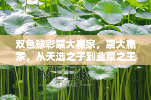 双色球彩票大赢家,票大赢家,从天选之子到韭菜之王的落差真相,笑着笑着就哭了 双色球彩票大赢家,票大赢家,从天选之子到韭菜之王的落差真相,笑着笑着就哭了