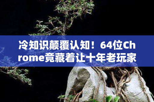 冷知识颠覆认知!64位Chrome竟藏着让十年老玩家目瞪口呆的秘密 冷知识颠覆认知!64位Chrome竟藏着让十年老玩家目瞪口呆的秘密