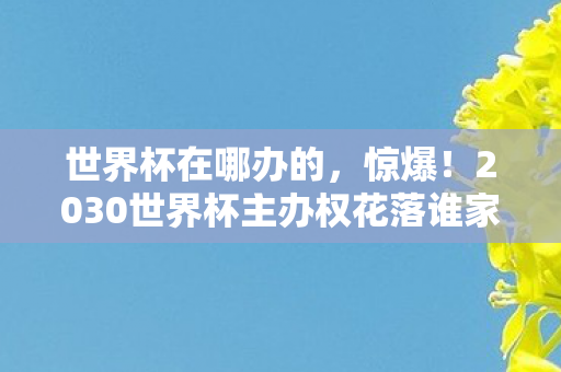 世界杯在哪办的,惊爆!2030世界杯主办权花落谁家?悬念即将揭晓! 世界杯在哪办的,惊爆!2030世界杯主办权花落谁家?悬念即将揭晓!