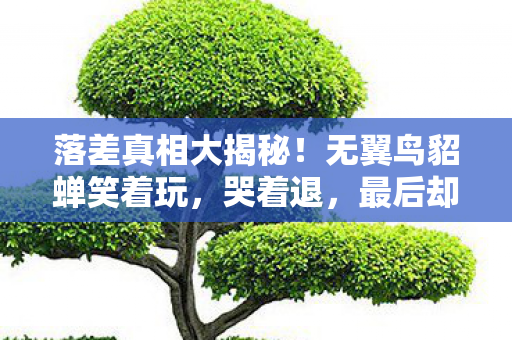 落差真相大揭秘！无翼鸟貂蝉笑着玩，哭着退，最后却……