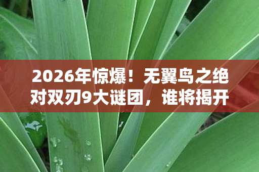 2026年惊爆！无翼鸟之绝对双刃9大谜团，谁将揭开终极真相？