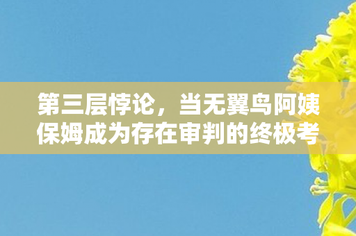 第三层悖论，当无翼鸟阿姨保姆成为存在审判的终极考卷