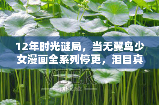 12年时光谜局，当无翼鸟少女漫画全系列停更，泪目真相藏在代码深处