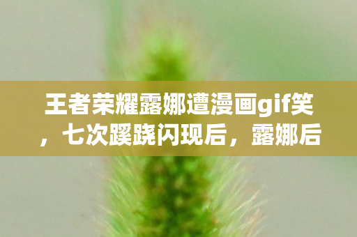 王者荣耀露娜遭漫画gif笑，七次蹊跷闪现后，露娜后背发凉，这局王者竟藏着惊人秘密！