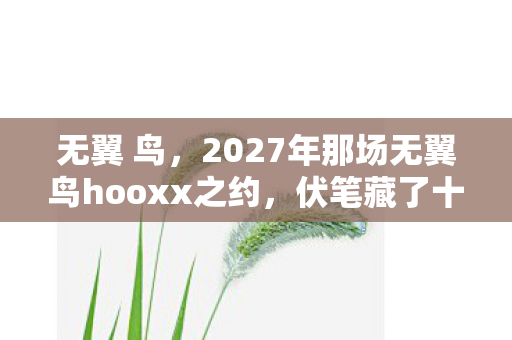 无翼 鸟,2027年那场无翼鸟hooxx之约,伏笔藏了十年,如今想起鼻子一酸 无翼 鸟,2027年那场无翼鸟hooxx之约,伏笔藏了十年,如今想起鼻子一酸