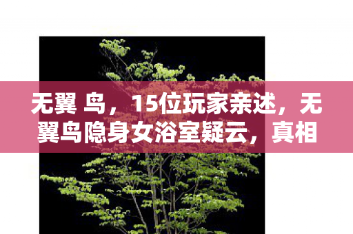 无翼 鸟,15位玩家亲述,无翼鸟隐身女浴室疑云,真相竟让人绷不住? 无翼 鸟,15位玩家亲述,无翼鸟隐身女浴室疑云,真相竟让人绷不住?