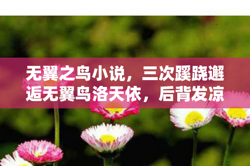 无翼之鸟小说,三次蹊跷邂逅无翼鸟洛天依,后背发凉竟是策划的千年棋局 无翼之鸟小说,三次蹊跷邂逅无翼鸟洛天依,后背发凉竟是策划的千年棋局