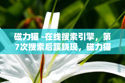 磁力猫 -在线搜索引擎，第7次搜索后蹊跷现，磁力猫背后真相让人后背发凉！