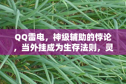 QQ雷电，神级辅助的悖论，当外挂成为生存法则，灵魂震颤的第三重审判
