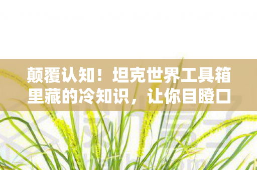 颠覆认知!坦克世界工具箱里藏的冷知识,让你目瞪口呆! 颠覆认知!坦克世界工具箱里藏的冷知识,让你目瞪口呆!