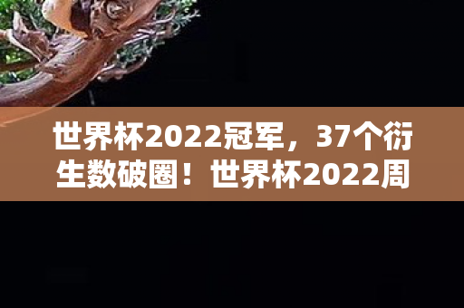 世界杯2022冠军，37个衍生数破圈！世界杯2022周边让我穷到吃土却意外解锁母爱盲盒