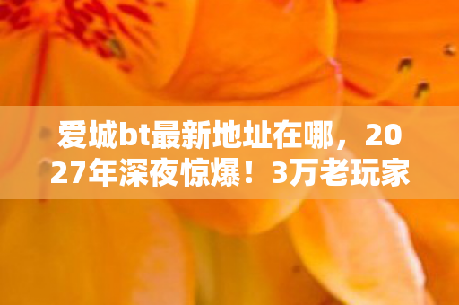 爱城bt最新地址在哪,2027年深夜惊爆!3万老玩家苦守的爱城入口,竟藏着这把打开泪腺的钥匙? 爱城bt最新地址在哪,2027年深夜惊爆!3万老玩家苦守的爱城入口,竟藏着这把打开泪腺的钥匙?