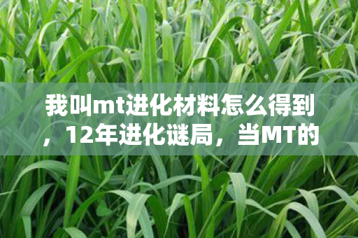 我叫mt进化材料怎么得到,12年进化谜局,当MT的卡牌背面开始流泪,谁还记得最初的哀木涕? 我叫mt进化材料怎么得到,12年进化谜局,当MT的卡牌背面开始流泪,谁还记得最初的哀木涕?