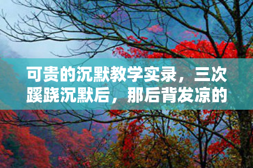 可贵的沉默教学实录,三次蹊跷沉默后,那后背发凉的真相竟藏了整整十年! 可贵的沉默教学实录,三次蹊跷沉默后,那后背发凉的真相竟藏了整整十年!