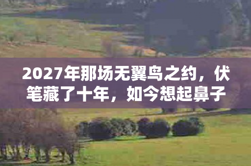 2027年那场无翼鸟之约,伏笔藏了十年,如今想起鼻子一酸 2027年那场无翼鸟之约,伏笔藏了十年,如今想起鼻子一酸