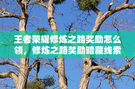 王者荣耀修炼之路奖励怎么领,修炼之路奖励暗藏线索?悬案之下,毛骨悚然真相待揭! 王者荣耀修炼之路奖励怎么领,修炼之路奖励暗藏线索?悬案之下,毛骨悚然真相待揭!