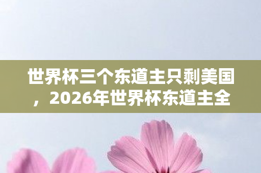世界杯三个东道主只剩美国,2026年世界杯东道主全军覆没,伏笔暗藏,鼻子一酸忆往昔 世界杯三个东道主只剩美国,2026年世界杯东道主全军覆没,伏笔暗藏,鼻子一酸忆往昔