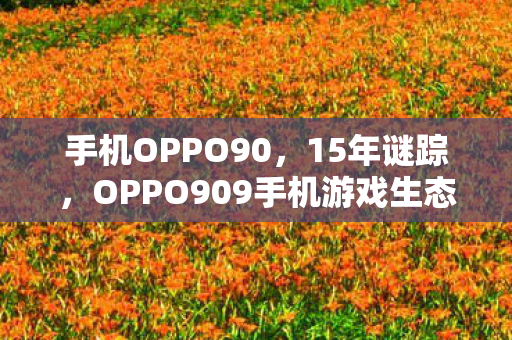 手机OPPO90，15年谜踪，OPPO909手机游戏生态的消亡与重生，泪目真相