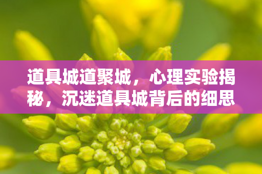 道具城道聚城,心理实验揭秘,沉迷道具城背后的细思极恐自我麻醉真相 道具城道聚城,心理实验揭秘,沉迷道具城背后的细思极恐自我麻醉真相