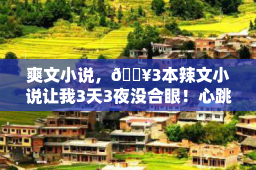 爽文小说，🔥3本辣文小说让我3天3夜没合眼！心跳加速的沉浸式体验！