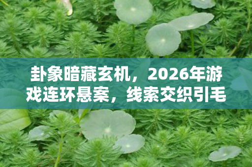 卦象暗藏玄机，2026年游戏连环悬案，线索交织引毛骨悚然真相