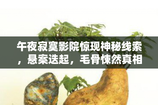 午夜寂寞影院惊现神秘线索，悬案迭起，毛骨悚然真相待揭！