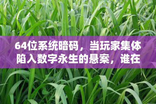 64位系统暗码，当玩家集体陷入数字永生的悬案，谁在操控这毛骨悚然的轮回？