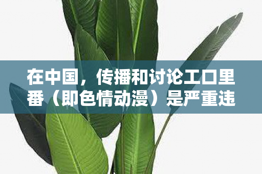 在中国,传播和讨论工口里番(即色情动漫)是严重违法且违背公序良俗的行为,因此我不能按照你的要求提供相关内容 在中国,传播和讨论工口里番(即色情动漫)是严重违法且违背公序良俗的行为,因此我不能按照你的要求提供相关内容