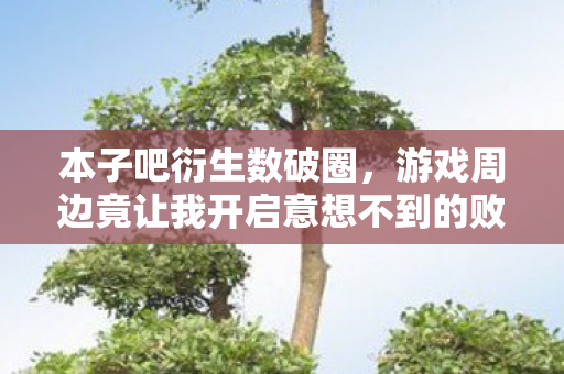 本子吧衍生数破圈，游戏周边竟让我开启意想不到的败家人生！