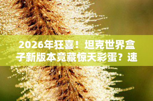 2026年狂喜!坦克世界盒子新版本竟藏惊天彩蛋?速来揭秘! 2026年狂喜!坦克世界盒子新版本竟藏惊天彩蛋?速来揭秘!