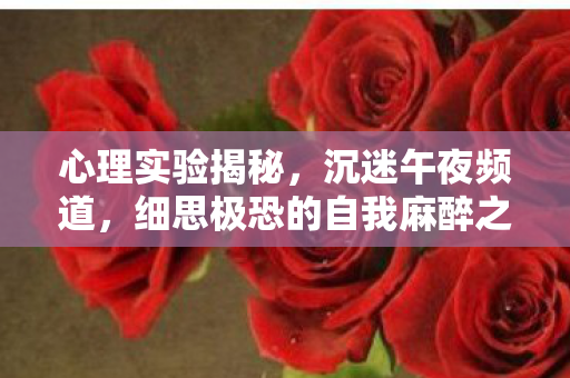 心理实验揭秘,沉迷午夜频道,细思极恐的自我麻醉之旅 心理实验揭秘,沉迷午夜频道,细思极恐的自我麻醉之旅