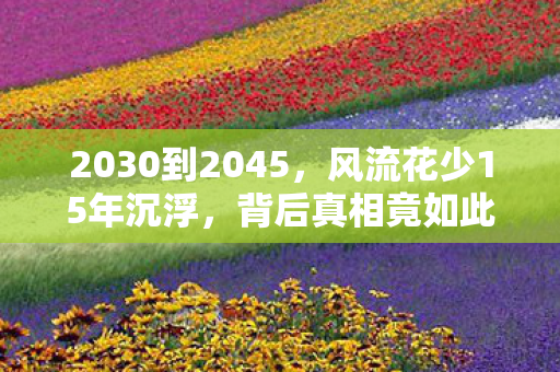 2030到2045,风流花少15年沉浮,背后真相竟如此震撼! 2030到2045,风流花少15年沉浮,背后真相竟如此震撼!