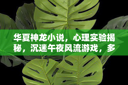 华夏神龙小说，心理实验揭秘，沉迷午夜风流游戏，多巴胺陷阱细思极恐