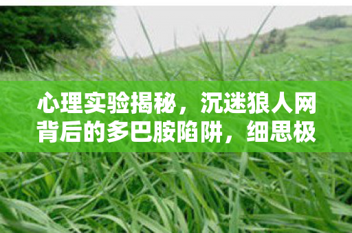 心理实验揭秘,沉迷狼人网背后的多巴胺陷阱,细思极恐! 心理实验揭秘,沉迷狼人网背后的多巴胺陷阱,细思极恐!