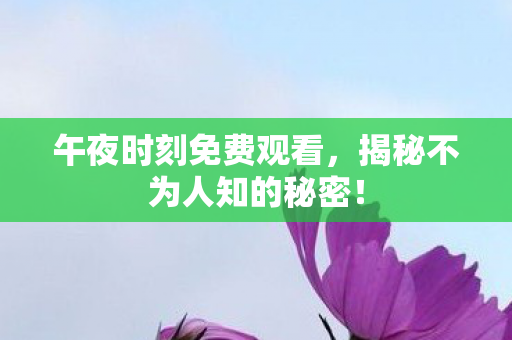 午夜时刻免费观看,揭秘不为人知的秘密! 午夜时刻免费观看,揭秘不为人知的秘密!