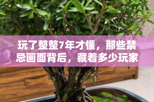 玩了整整7年才懂，那些禁忌画面背后，藏着多少玩家未说破的执念？