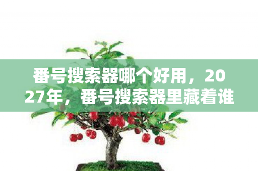 番号搜索器哪个好用，2027年，番号搜索器里藏着谁未说完的别走，我鼻子一酸终是删了
