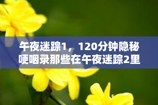 午夜迷踪1,120分钟隐秘哽咽录那些在午夜迷踪2里弄丢的自己,后来都成了谁的光? 午夜迷踪1,120分钟隐秘哽咽录那些在午夜迷踪2里弄丢的自己,后来都成了谁的光?