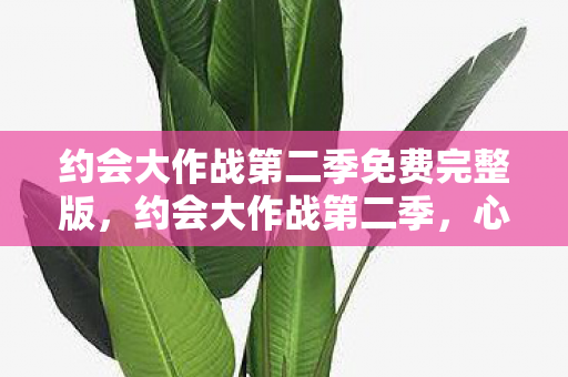 约会大作战第二季免费完整版,约会大作战第二季,心理实验下的沉迷深渊,细思极恐的自我麻醉 约会大作战第二季免费完整版,约会大作战第二季,心理实验下的沉迷深渊,细思极恐的自我麻醉