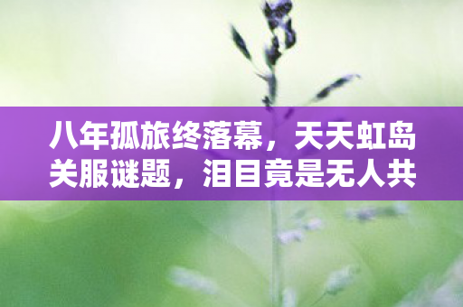 八年孤旅终落幕,天天虹岛关服谜题,泪目竟是无人共赴的结局 八年孤旅终落幕,天天虹岛关服谜题,泪目竟是无人共赴的结局