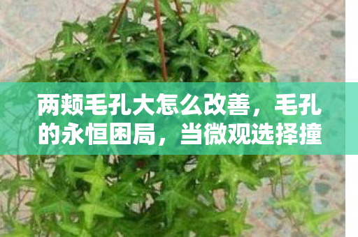 两颊毛孔大怎么改善，毛孔的永恒困局，当微观选择撞上宏观宿命，自由意志在皮肤褶皱里震颤