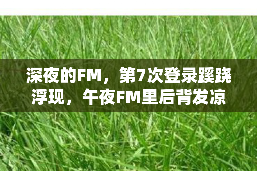 深夜的FM,第7次登录蹊跷浮现,午夜FM里后背发凉的逃亡真相 深夜的FM,第7次登录蹊跷浮现,午夜FM里后背发凉的逃亡真相