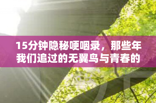15分钟隐秘哽咽录,那些年我们追过的无翼鸟与青春的荒腔走板 15分钟隐秘哽咽录,那些年我们追过的无翼鸟与青春的荒腔走板