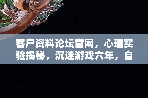 客户资料论坛官网,心理实验揭秘,沉迷游戏六年,自我麻醉的细思极恐真相 客户资料论坛官网,心理实验揭秘,沉迷游戏六年,自我麻醉的细思极恐真相